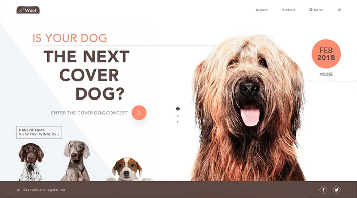 pet-industry-web-design-and-online-marketing