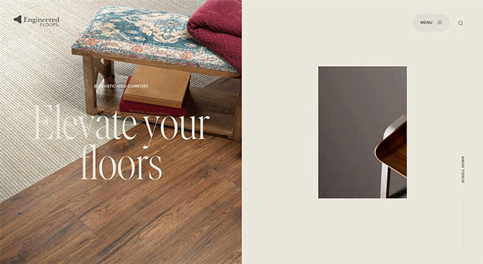 what-are-web-development-and-web-design