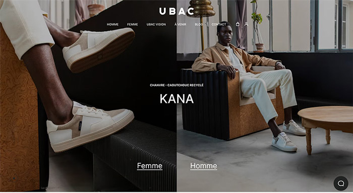 what-are-web-development-and-web-design